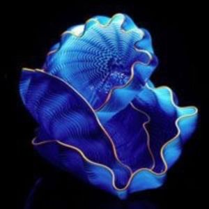 Meet your Posher, Tanya